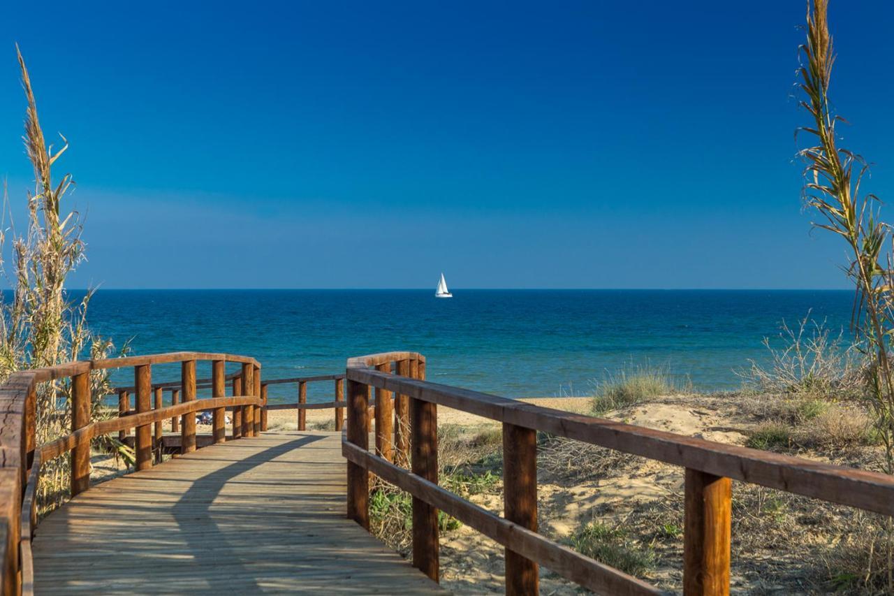 Apartament Palmera 100M Od Morza Οριουέλα Εξωτερικό φωτογραφία
